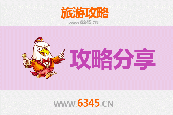 聊城阳谷至湄洲岛旅游攻略：跟团还是自由行选择指南