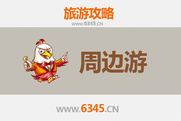 阳谷周边游攻略：探索水浒故里与运河古韵